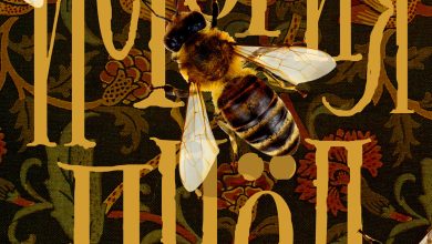 Photo of Экскурсия в историю пчел