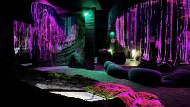 Photo of «Ретроспектива искусства: выставка классики»