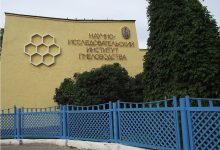 Photo of Очарование пчеловодства в Рыбном