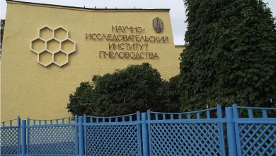 Photo of Очарование пчеловодства в Рыбном