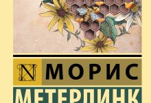 Photo of Путешествие в мир пчел