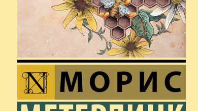 Photo of Путешествие в мир пчел