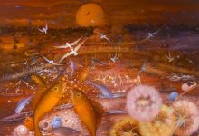 Photo of Музейные сокровища города Рыбное