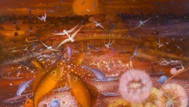 Photo of Музейные сокровища города Рыбное