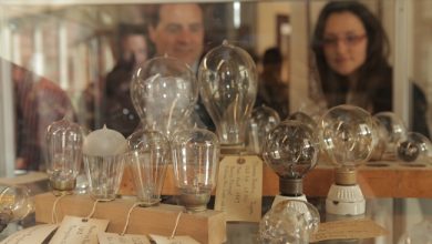 Photo of Разнообразие тематических экспозиций