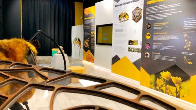 Photo of Музей пчеловодства и его секреты