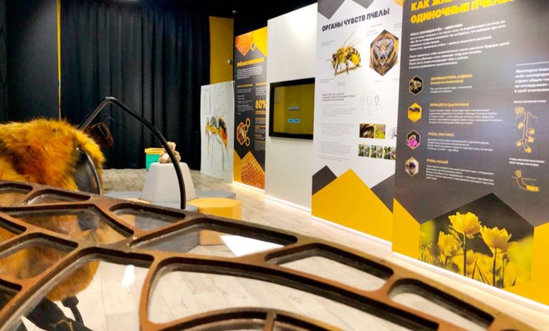 Photo of Музей пчеловодства и его секреты