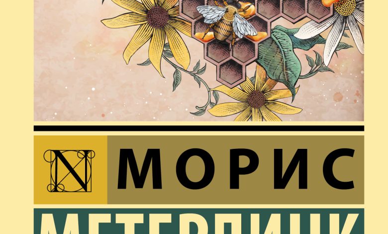 Photo of Путешествие в мир пчел